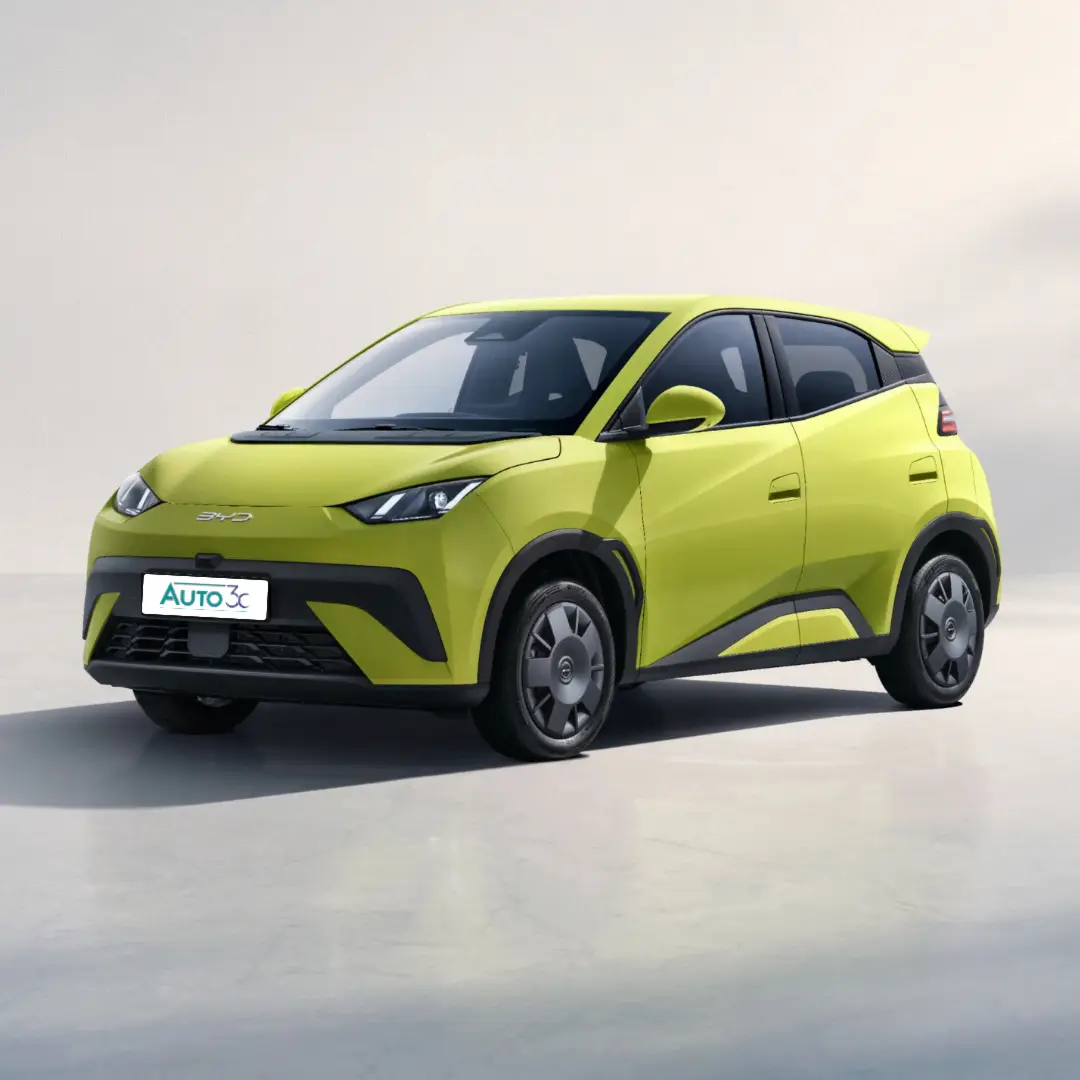 Dolphin Surf Elettrica BYD Auto 3c Puglia
