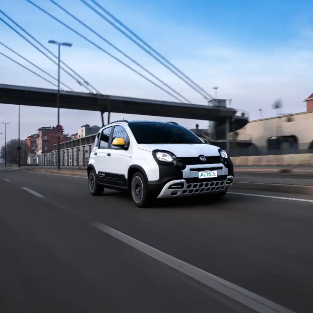 Immagine promozione FIAT Pandina