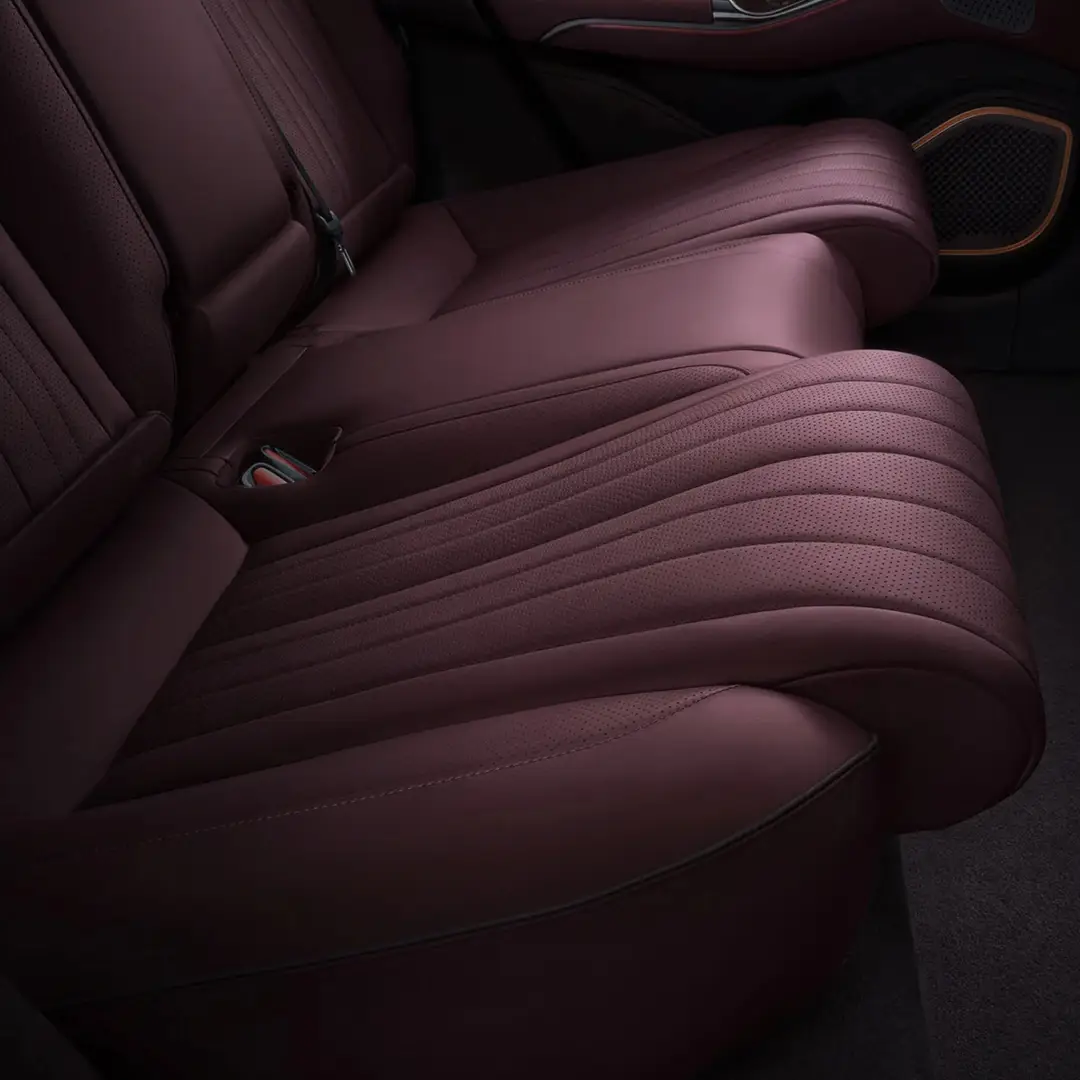 immagine gallery DENZA Z9GT